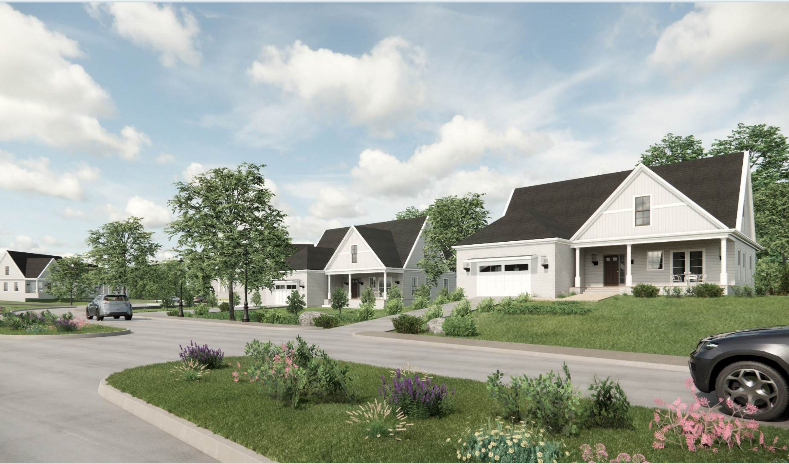 Curved street with Option B elevations